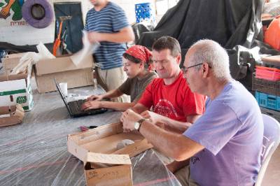 people working with boxes