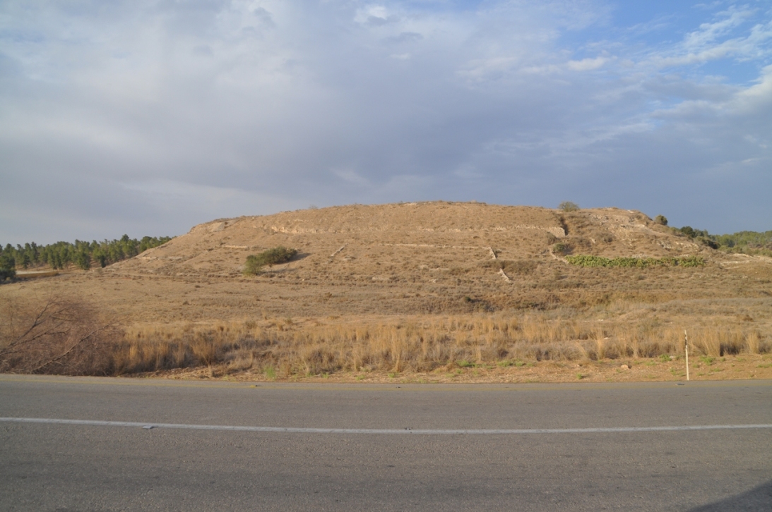 outside field by road