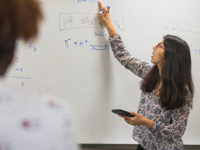 Professor at whiteboard