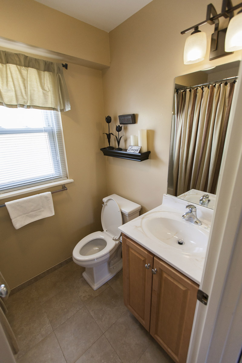 Bathroom sink and toilet