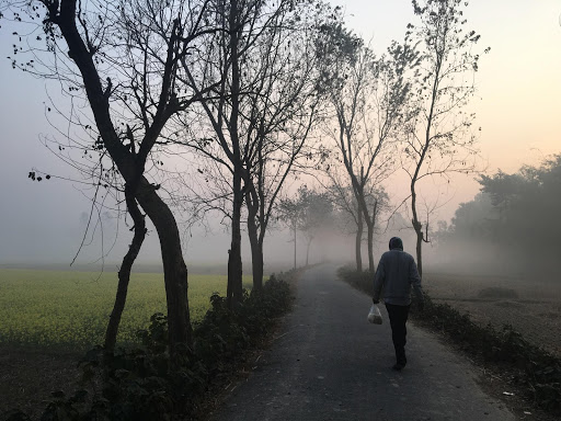 Road and scenery