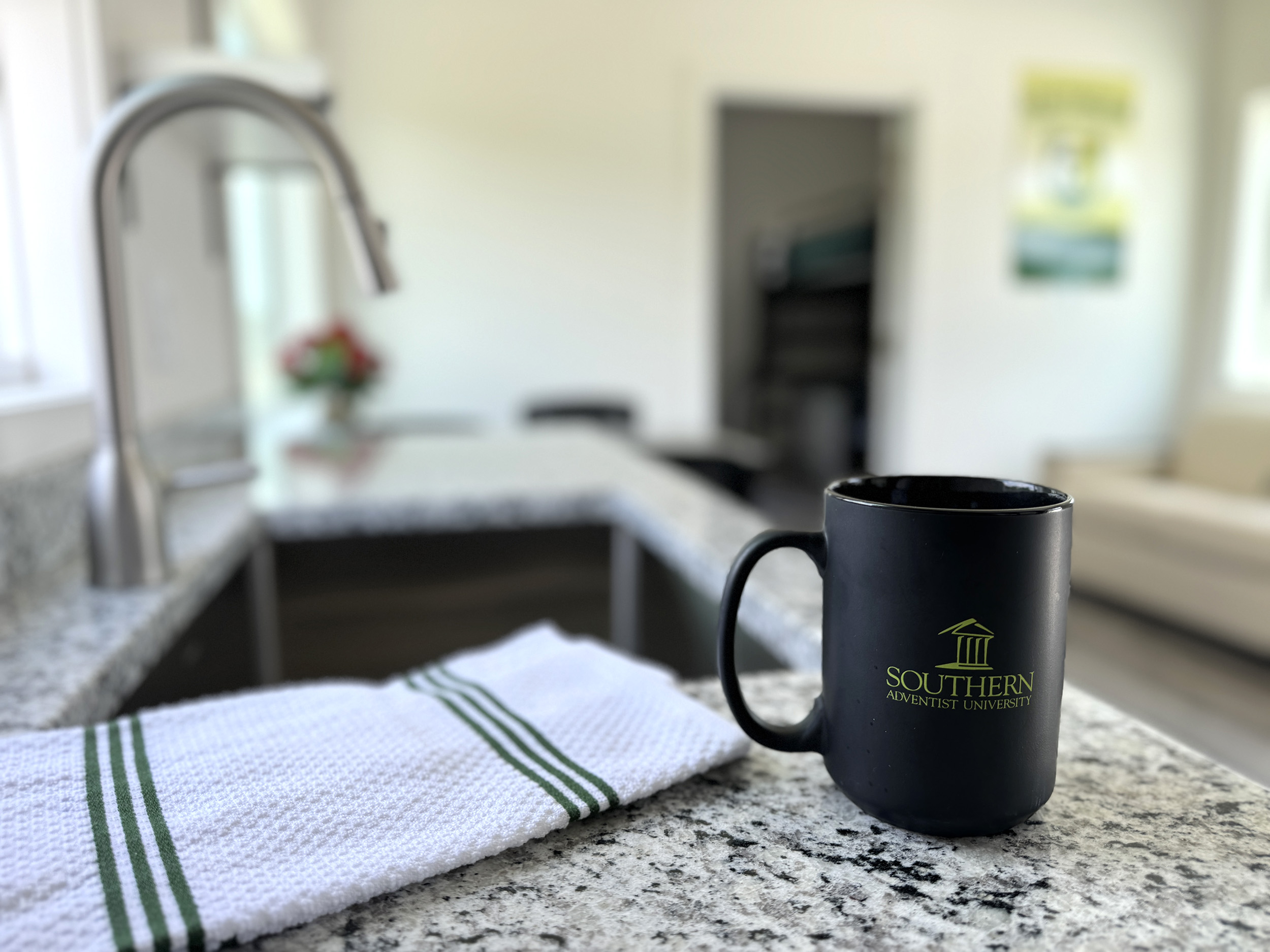 View of the kitchen in the new mountain cottages